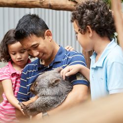 Oakvale Wildlife Park