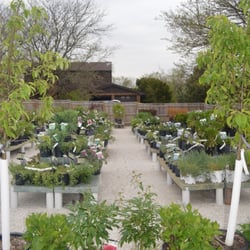 Sun and Shade Garden Center