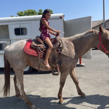 Pony Party For You - Amusement Parks Near Me - Rialto, California Pony Party For You - Amusement Parks Near Me - Rialto, California