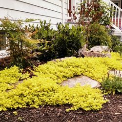 ProServ Landscaping