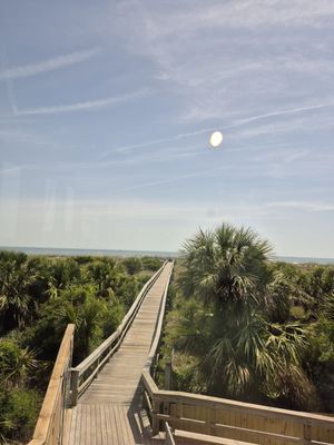 Tybee Island Marine Science Center by null
