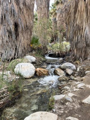 Indian Canyons by null