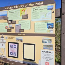 Artist Point - Natural history of the point