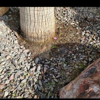Oakes Landscape - Causing me over 100 dollars with pinon hills - Landscaping Near Me - Hesperia, California Oakes Landscape - Causing me over 100 dollars with pinon hills - Landscaping Near Me - Hesperia, California