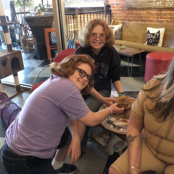 River Kitty Cat Cafe - Purrrrrrrrr - Themed Cafes Near Me - Evansville, Indiana