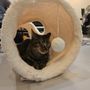 Photo of Sip & Purr Cat Cafe