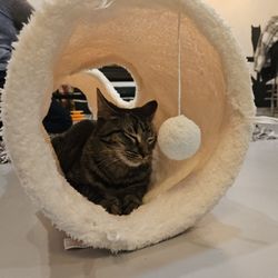 Sip & Purr Cat Cafe