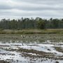 Montezuma National Wildlife Refuge
