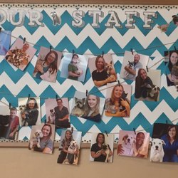 healthy pets of westgate