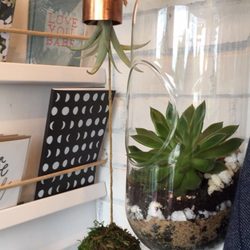 Gather Goods - Succulents make my heart happy.