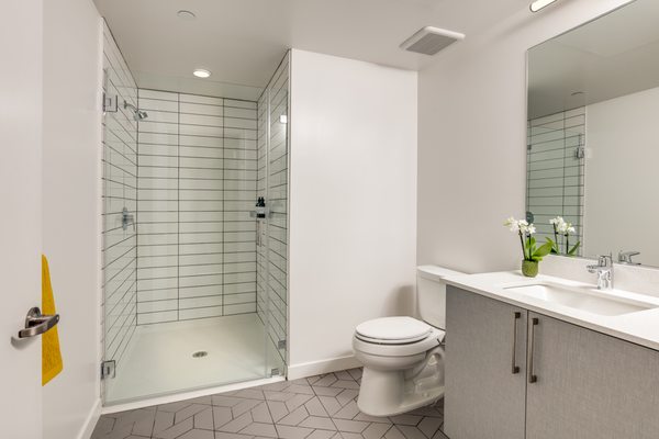1717 Webster by null