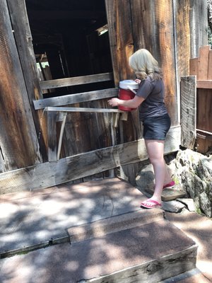 Cosmos Mystery Area by null