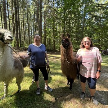Topstall Farm - Sebastian and Milo - Attraction Farms Near Me - Roy, Washington