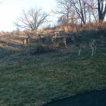 Warminster Community Park - No fear deer at 7am. - Skate Parks Near Me - Warminster, Pennsylvania Warminster Community Park - No fear deer at 7am. - Skate Parks Near Me - Warminster, Pennsylvania
