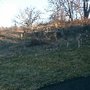 Photo of Warminster Community Park