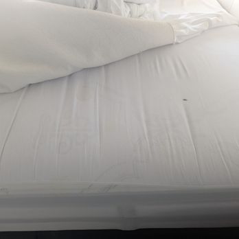 Hotel Murano - Hotels Near Me - Tacoma, Washington Hotel Murano - Hotels Near Me - Tacoma, Washington