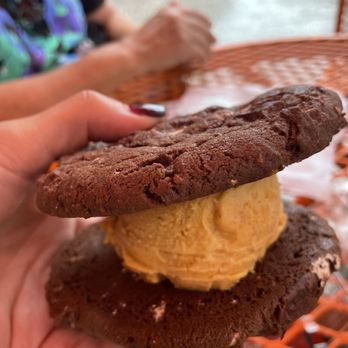 Vivoli Il Gelato - Pumpkin gelato with s'more's cookies sandwich - Ice Cream & Frozen Yogurt Near Me - Orlando, Florida