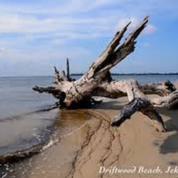 Melissa Green - Ronnie Perry Realty - Driftwood Beach, Jekyll Island