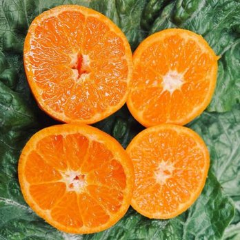 Pedrick Produce - Fruits & Veggies Near Me - Dixon, California Pedrick Produce - Fruits & Veggies Near Me - Dixon, California