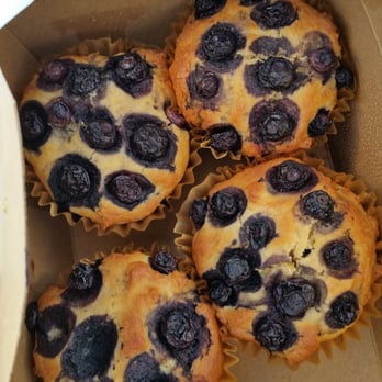 EscoGelato - Blueberry muffins. Still hot! - Coffee & Tea Near Me - Escondido, California EscoGelato - Blueberry muffins. Still hot! - Coffee & Tea Near Me - Escondido, California