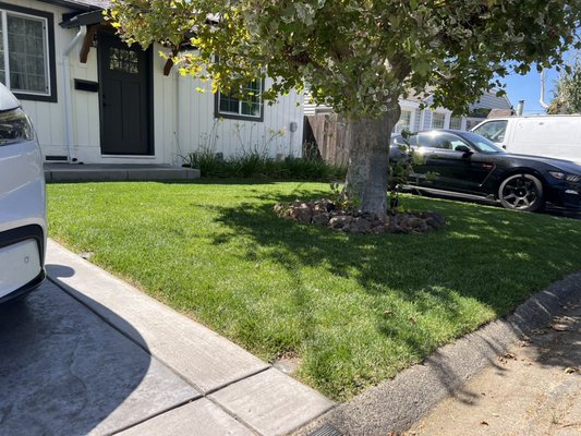 Front Yard Cleanup & Maintenance - We can work with you regardless of budget, goals and find a solution that works best to get you closer to your enjoying your outdoor space with family and friends! We are currently specializing in lawn/grass but plan to grow into other areas of landscaping! Affordable, upfront pricing and open daily for calls and text for scheduling and pricing Front Yard Cleanup & Maintenance - We can work with you regardless of budget, goals and find a solution that works best to get you closer to your enjoying your outdoor space with family and friends! We are currently specializing in lawn/grass but plan to grow into other areas of landscaping! Affordable, upfront pricing and open daily for calls and text for scheduling and pricing
