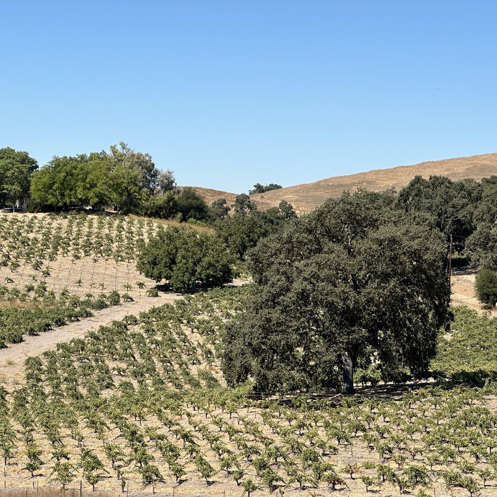 AronHill Vineyards - Wine Tasting Room Near Me - Templeton, California