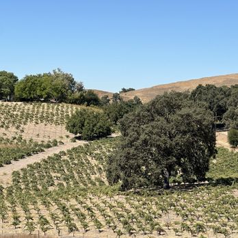 AronHill Vineyards - Wine Tasting Room Near Me - Templeton, California AronHill Vineyards - Wine Tasting Room Near Me - Templeton, California