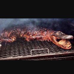 La Quail Farm - Smok allegator