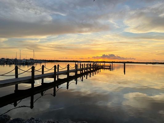 Coconut Palm Inn by null