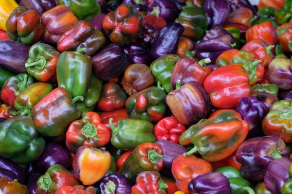 Tonnemaker Valley Farm & Woodinville Farm Stand by null