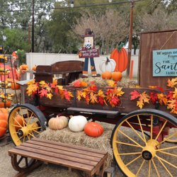 Universal City Pumpkin Patch - Great fall displays