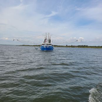 Capt. Mike's Dolphin Adventure Tour - Tours Near Me - Tybee Island, Georgia Capt. Mike's Dolphin Adventure Tour - Tours Near Me - Tybee Island, Georgia