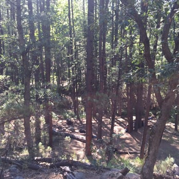 Horton Creek Trail - Hiking Near Me
