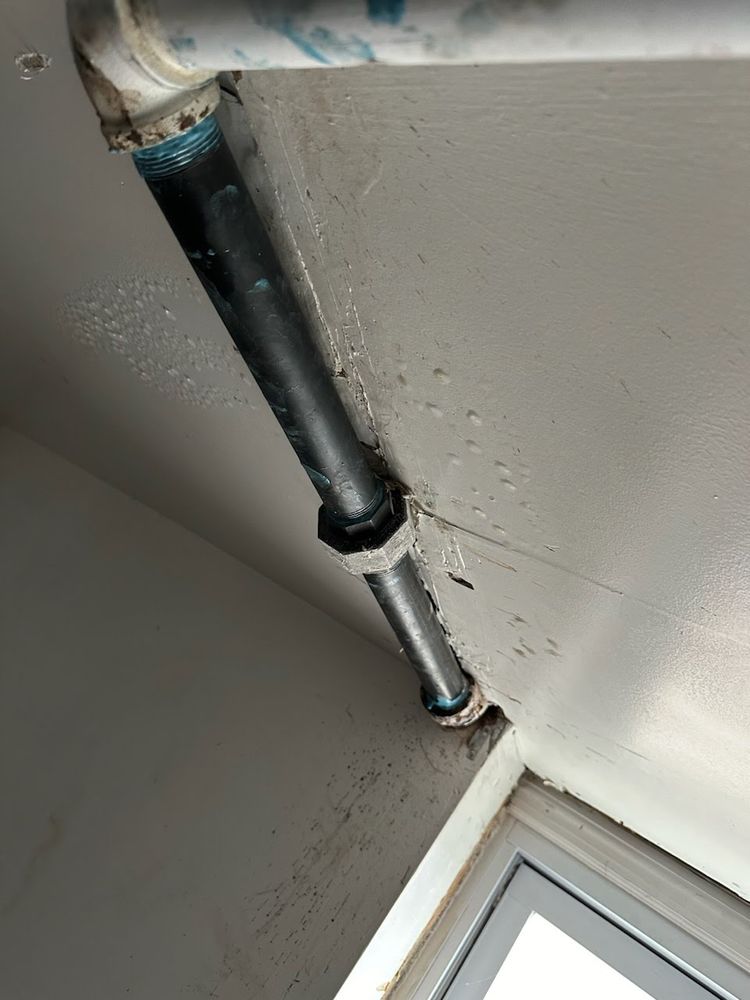 Slide of Rooter Master