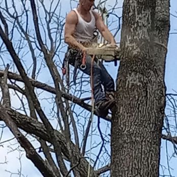 T.R.S. - Love days like this - Tree Services Near Me T.R.S. - Love days like this - Tree Services Near Me