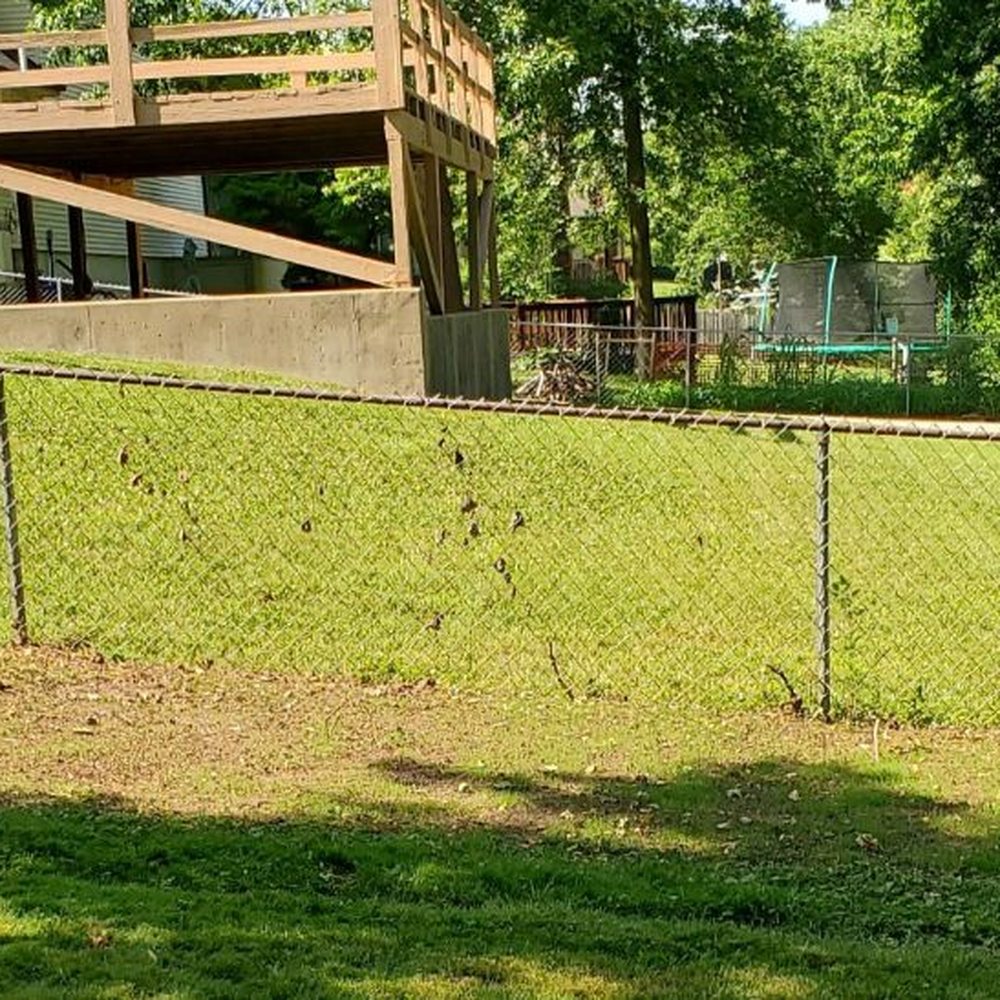 Ilia Landscape - a fenced yard with a house in the background - Landscaping Near Me