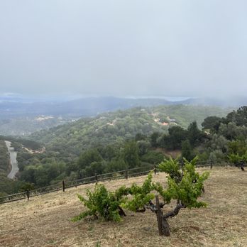 Ridge Vineyards - Monte Bello - Wineries Near Me - Cupertino, California Ridge Vineyards - Monte Bello - Wineries Near Me - Cupertino, California