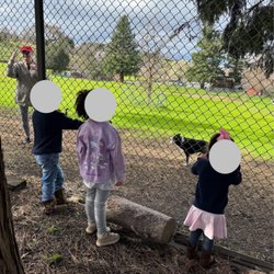 Forest Home Farms - Farmer explaining gardening and her border collie herding ducks