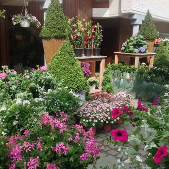 Senteurs et Couleurs - Florists Near Me - Linkebeek, VBR Senteurs et Couleurs - Florists Near Me - Linkebeek, VBR