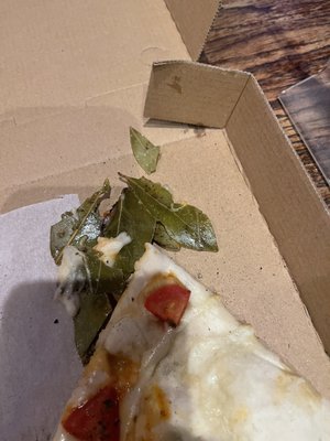Moonlight Pizza by null
