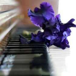 Lisa's Piano Tuning