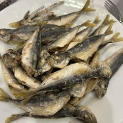 Adem Baba - İstavrit