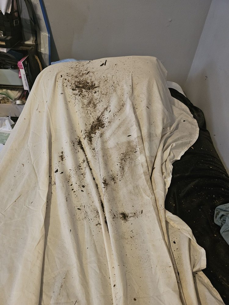 Slide of The Golden State Roofers