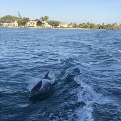 Lady Stuart Deep Sea Fishing - Dolphins following the boat!
