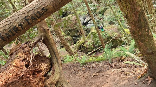 Whatcom Falls by null