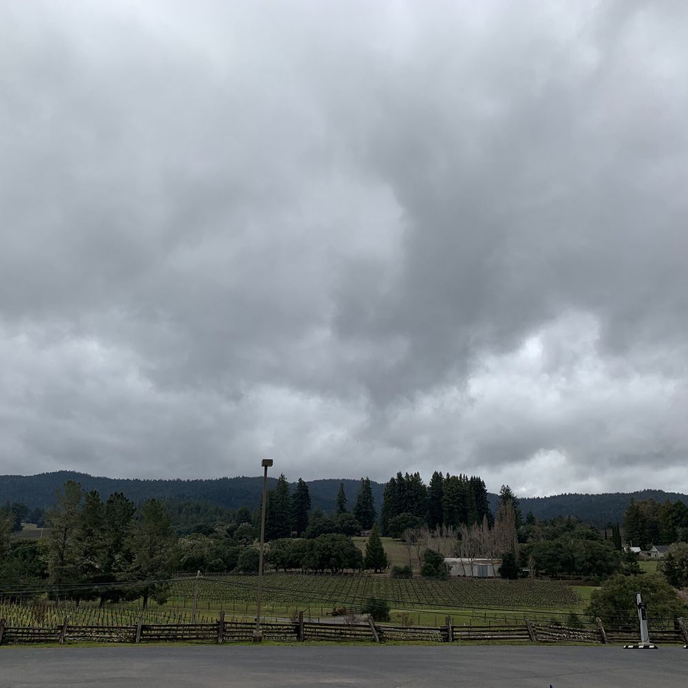 Handley Cellars - Wineries Near Me - Philo, California Handley Cellars - Wineries Near Me - Philo, California