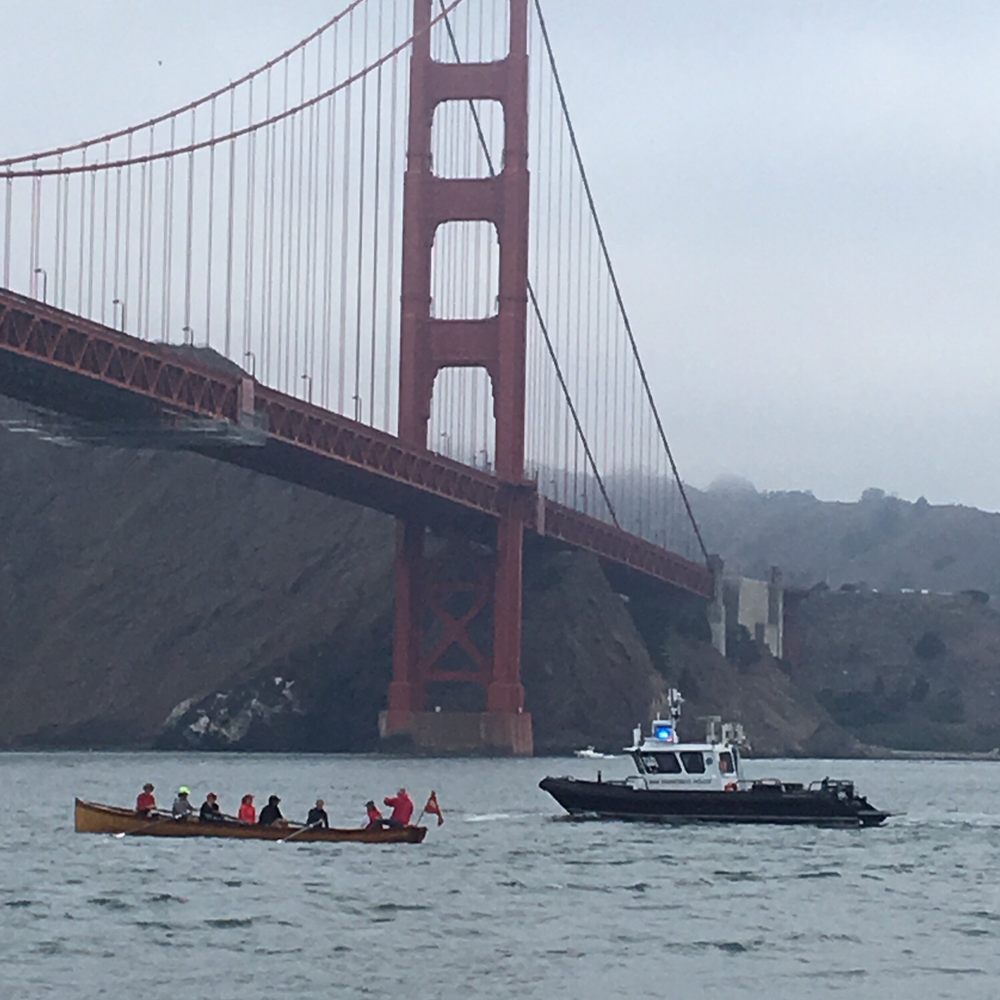 Bay Expeditions - Boat Tours Near Me