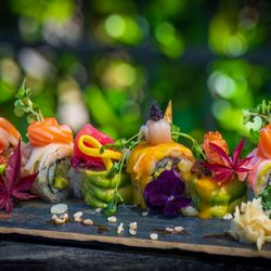 Nori Asian fusion and sushi bar