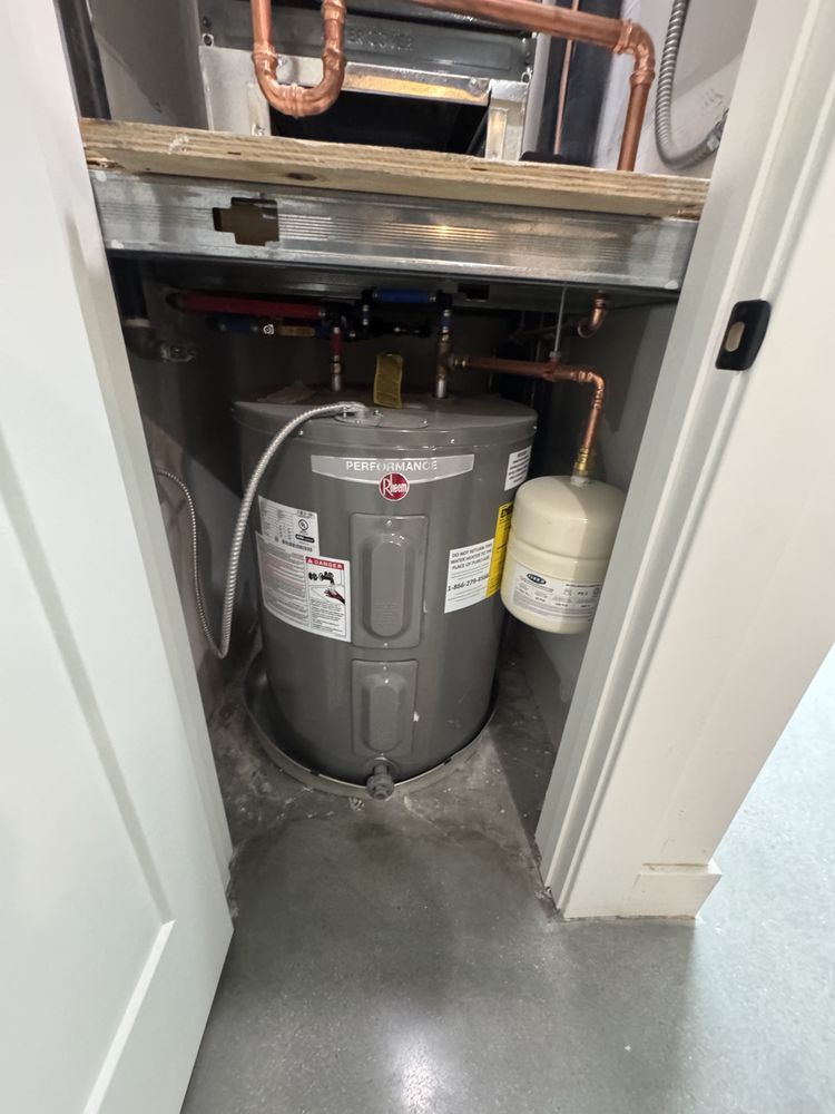 Slide of White Rhino