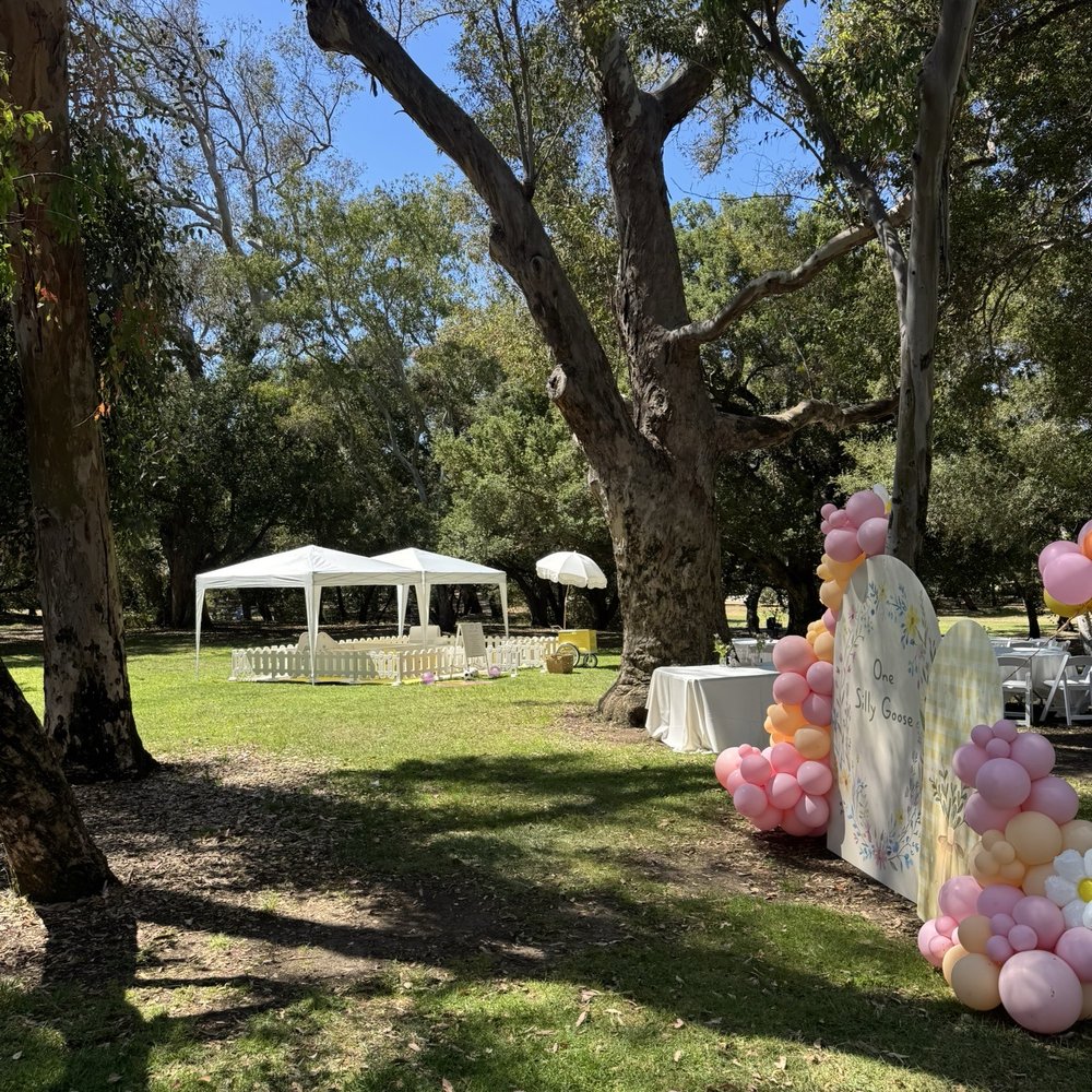 Ooh La La Soft play - Bounce House Rentals Near Me Ooh La La Soft play - Bounce House Rentals Near Me
